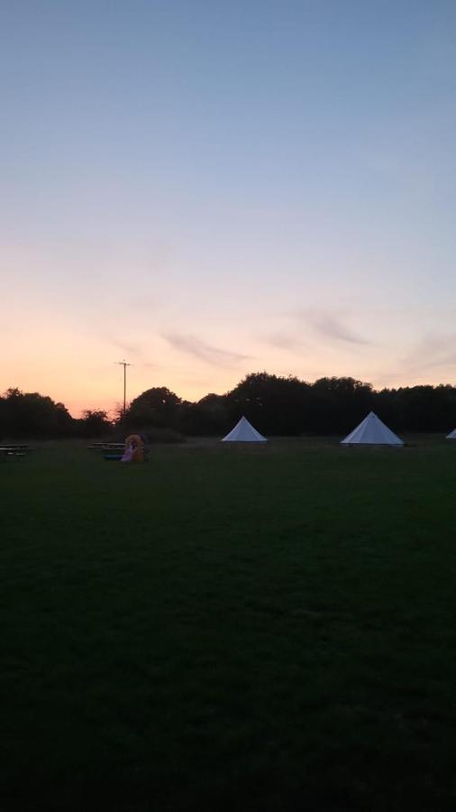 Dorset Glamping Fields Hotell Corfe Mullen Eksteriør bilde