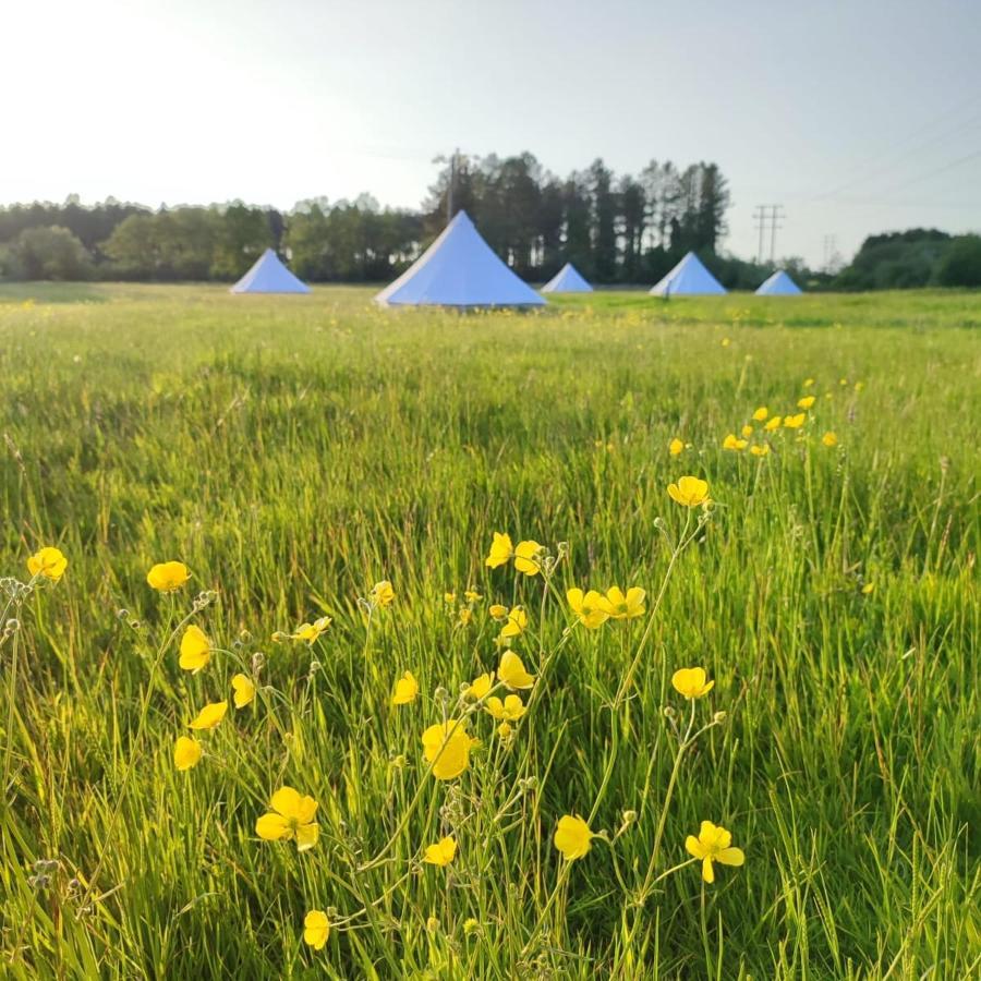 Dorset Glamping Fields Hotell Corfe Mullen Eksteriør bilde